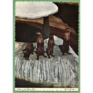 Vintage Postcard -Busch Gardens - Tampa, FL - PC056